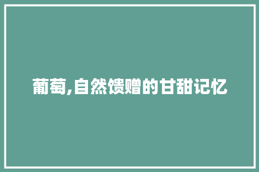 葡萄,自然馈赠的甘甜记忆