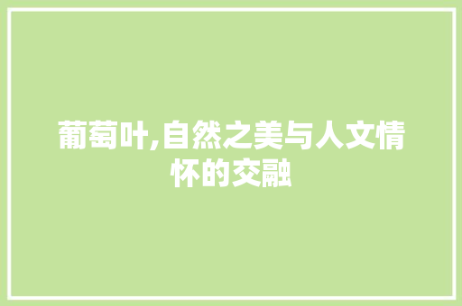 葡萄叶,自然之美与人文情怀的交融