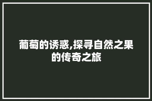 葡萄的诱惑,探寻自然之果的传奇之旅