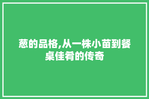 葱的品格,从一株小苗到餐桌佳肴的传奇