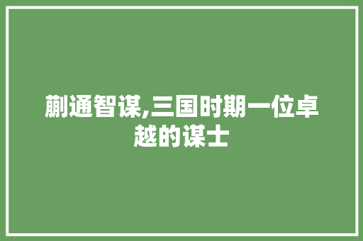 蒯通智谋,三国时期一位卓越的谋士