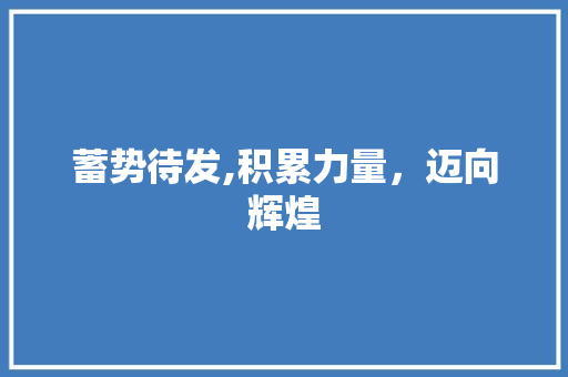 蓄势待发,积累力量，迈向辉煌