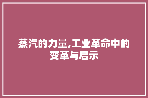 蒸汽的力量,工业革命中的变革与启示