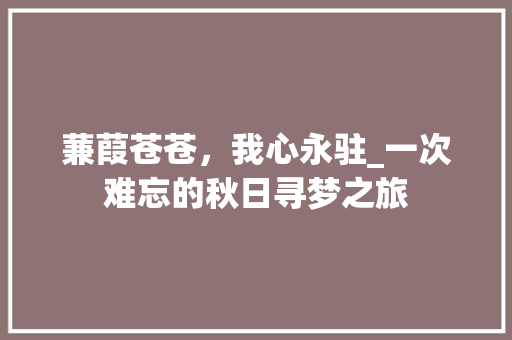 蒹葭苍苍，我心永驻_一次难忘的秋日寻梦之旅