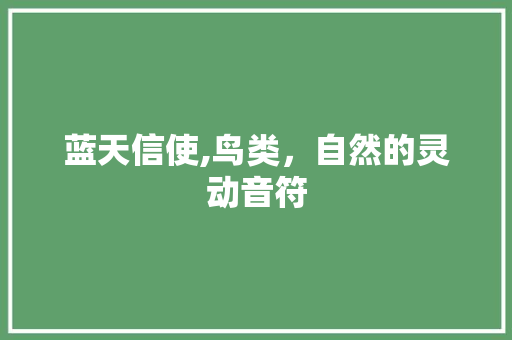 蓝天信使,鸟类，自然的灵动音符