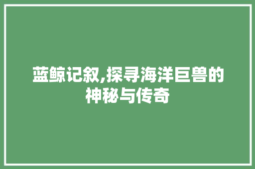 蓝鲸记叙,探寻海洋巨兽的神秘与传奇