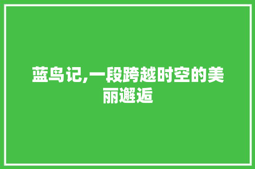 蓝鸟记,一段跨越时空的美丽邂逅