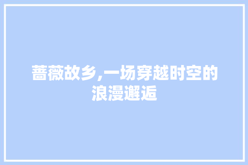 蔷薇故乡,一场穿越时空的浪漫邂逅