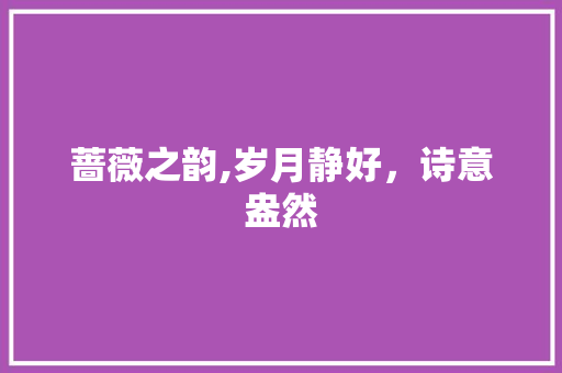 蔷薇之韵,岁月静好，诗意盎然