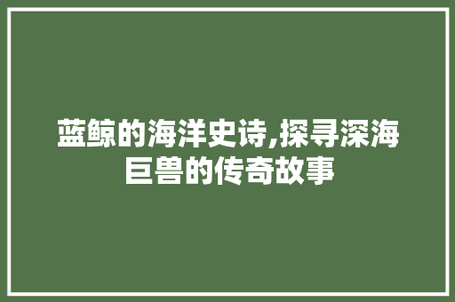 蓝鲸的海洋史诗,探寻深海巨兽的传奇故事