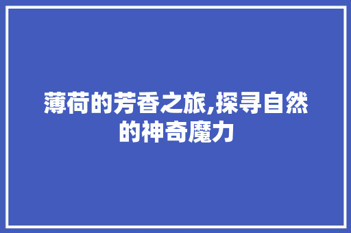 薄荷的芳香之旅,探寻自然的神奇魔力