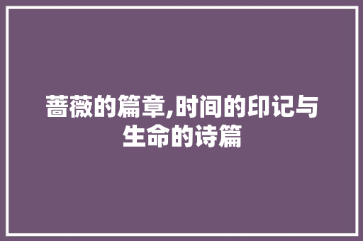 蔷薇的篇章,时间的印记与生命的诗篇