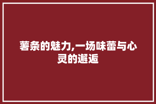 薯条的魅力,一场味蕾与心灵的邂逅