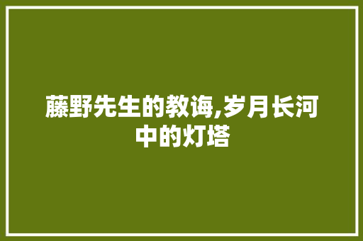 藤野先生的教诲,岁月长河中的灯塔