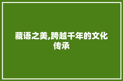 藏语之美,跨越千年的文化传承