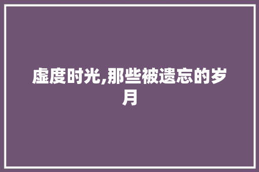 虚度时光,那些被遗忘的岁月