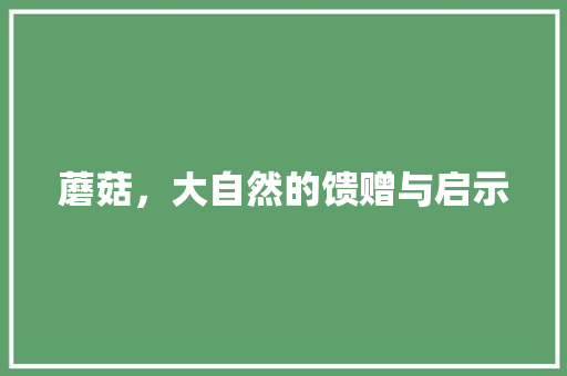 蘑菇，大自然的馈赠与启示