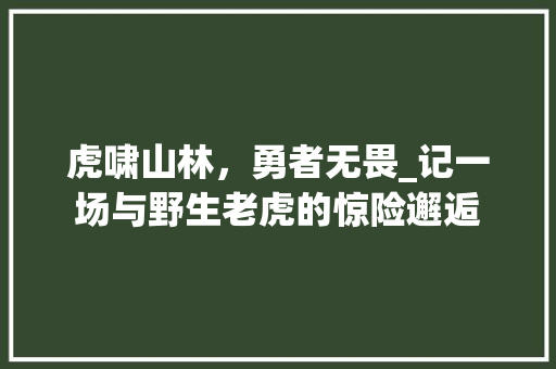 虎啸山林，勇者无畏_记一场与野生老虎的惊险邂逅