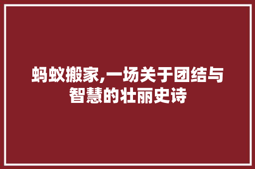 蚂蚁搬家,一场关于团结与智慧的壮丽史诗