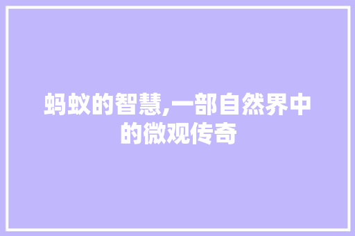 蚂蚁的智慧,一部自然界中的微观传奇