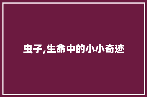 虫子,生命中的小小奇迹