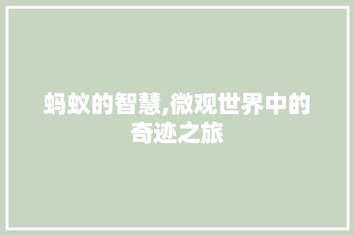 蚂蚁的智慧,微观世界中的奇迹之旅