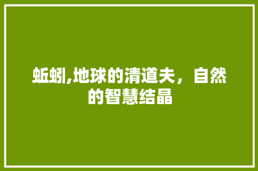 蚯蚓,地球的清道夫，自然的智慧结晶