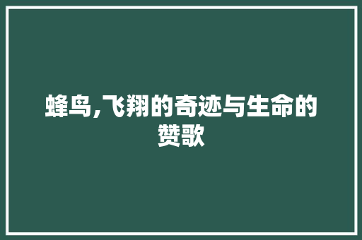 蜂鸟,飞翔的奇迹与生命的赞歌