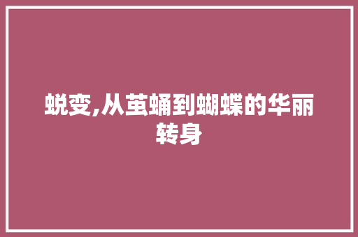 蜕变,从茧蛹到蝴蝶的华丽转身