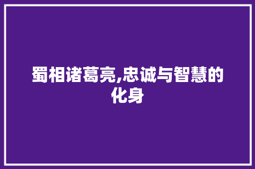 蜀相诸葛亮,忠诚与智慧的化身