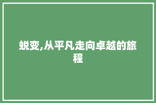 蜕变,从平凡走向卓越的旅程