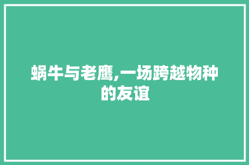 蜗牛与老鹰,一场跨越物种的友谊