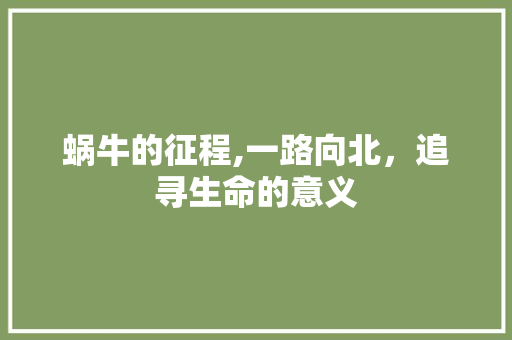 蜗牛的征程,一路向北，追寻生命的意义