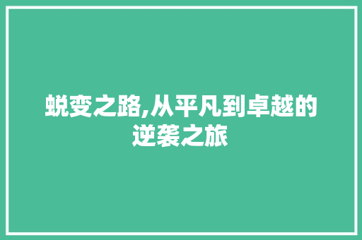 蜕变之路,从平凡到卓越的逆袭之旅