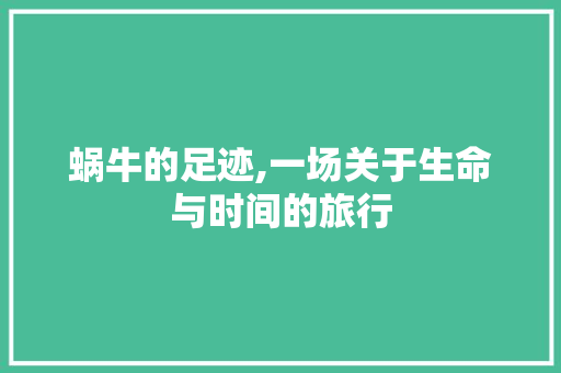 蜗牛的足迹,一场关于生命与时间的旅行