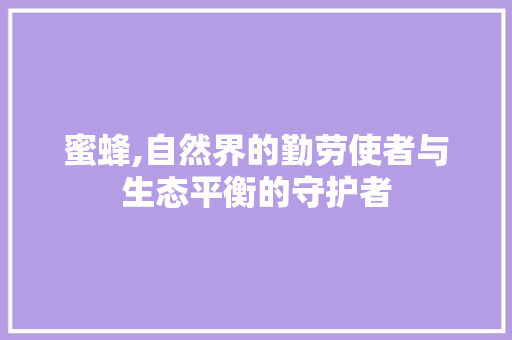 蜜蜂,自然界的勤劳使者与生态平衡的守护者