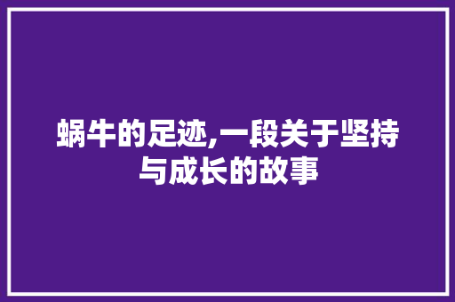 蜗牛的足迹,一段关于坚持与成长的故事