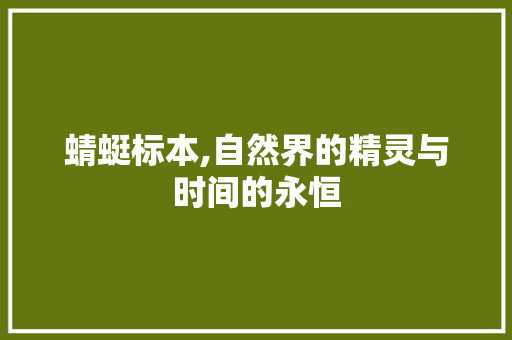 蜻蜓标本,自然界的精灵与时间的永恒