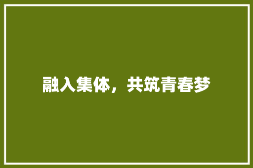 融入集体，共筑青春梦