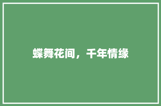 蝶舞花间，千年情缘