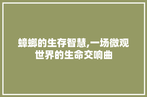 蟑螂的生存智慧,一场微观世界的生命交响曲