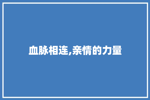 血脉相连,亲情的力量