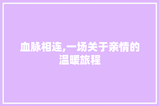 血脉相连,一场关于亲情的温暖旅程