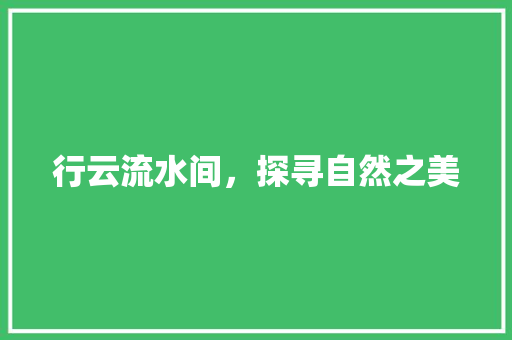 行云流水间，探寻自然之美