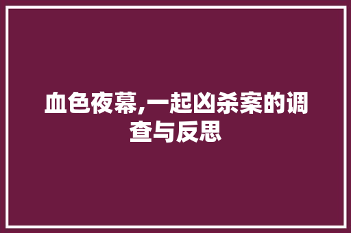 血色夜幕,一起凶杀案的调查与反思