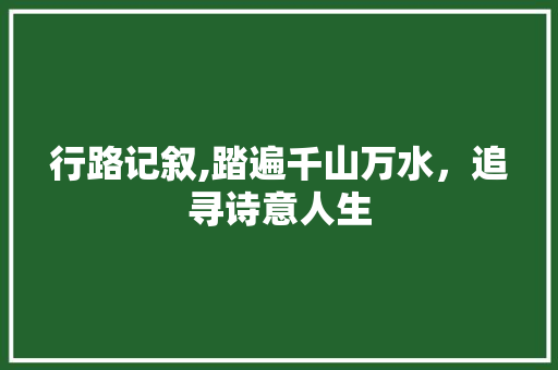 行路记叙,踏遍千山万水，追寻诗意人生