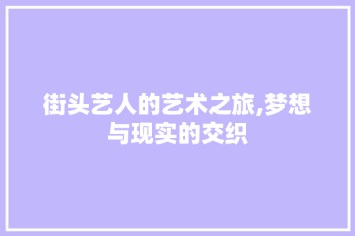 街头艺人的艺术之旅,梦想与现实的交织