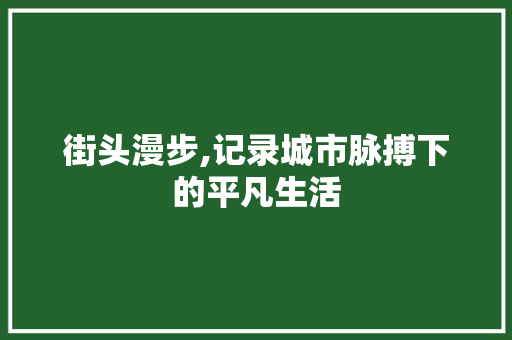 街头漫步,记录城市脉搏下的平凡生活