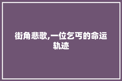 街角悲歌,一位乞丐的命运轨迹