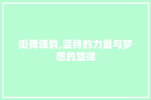 街舞魂韵,坚持的力量与梦想的旋律